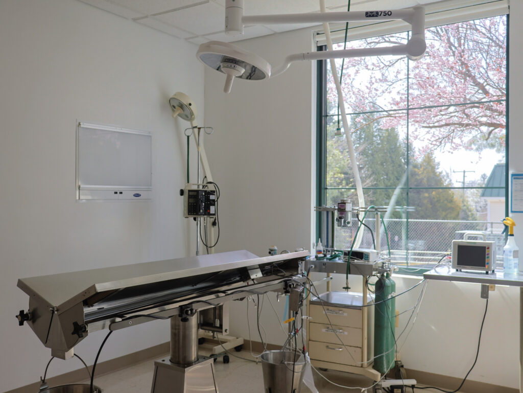 Home - Seneca Hill Animal Hospital