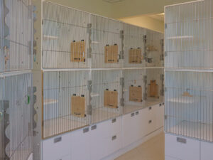 Pet Resort - Seneca Hill Animal Hospital IMG_8381