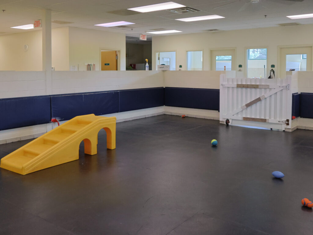 Daycare - Seneca Hill Animal Hospital