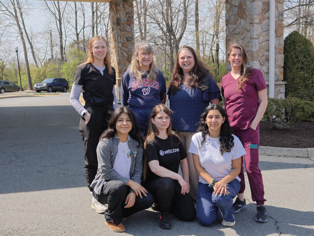 Home - Seneca Hill Animal Hospital