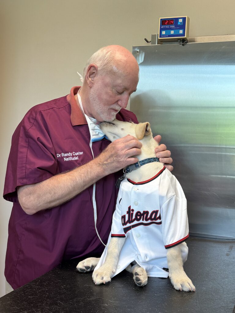 Home - Seneca Hill Animal Hospital
